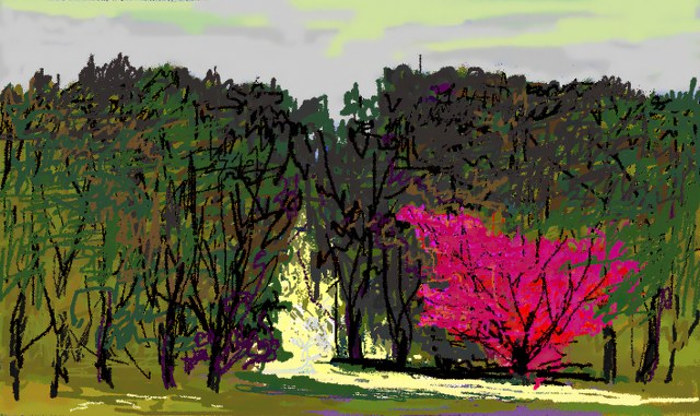 Персик зацвёл