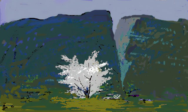 Цветущий урюк