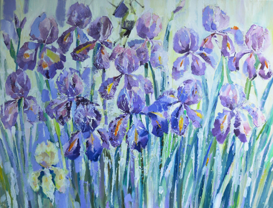 Ирисы
